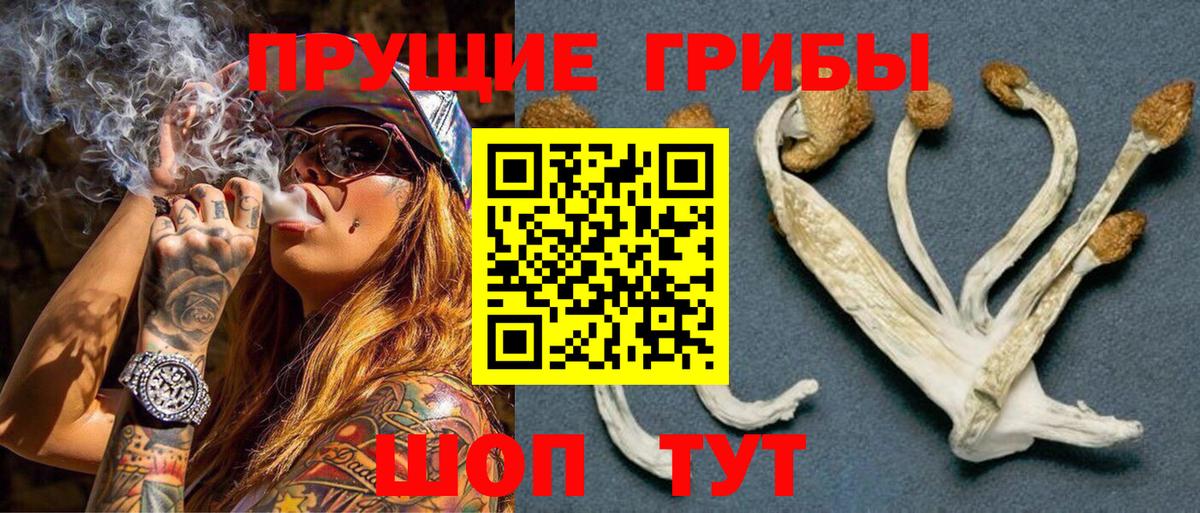 Галлюциногенные грибы мицелий Кострома