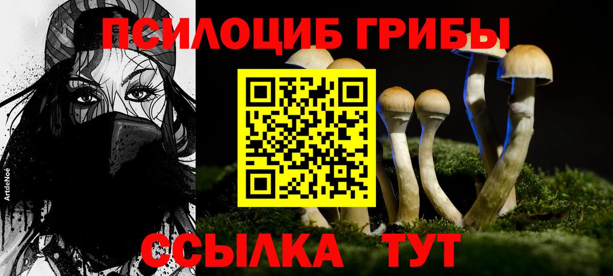 Кострома  Галлюциногенные грибы Psilocybine cubensis  Псилоцибиновые грибы Psilocybine cubensis  Вход с VPN 